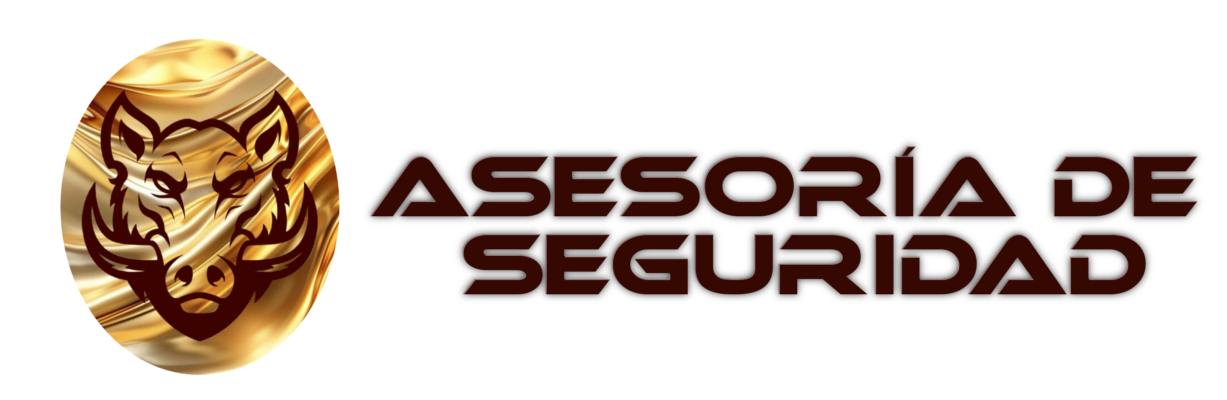 ASESORÍA DE SEGURIDAD